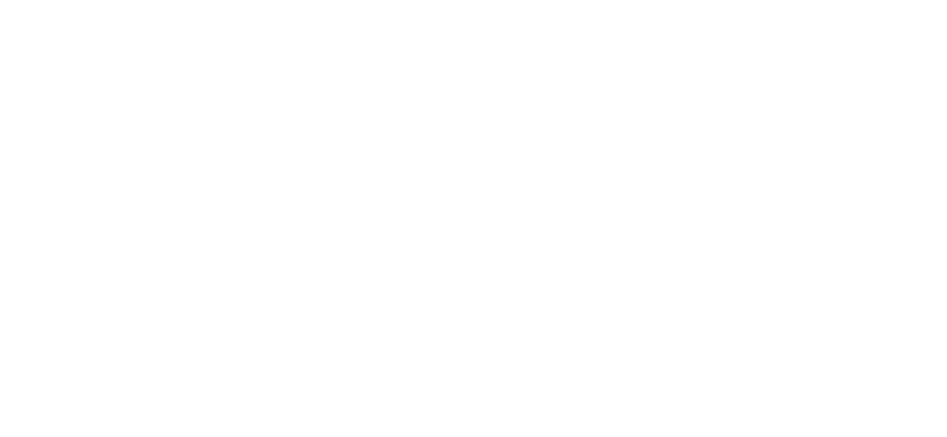 DK Tint Solutions Logo